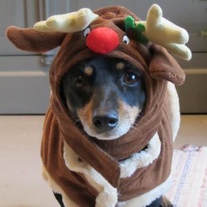 Meet your Posher, Scott